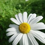 150x150 132026 bb3510c82fa4d60f