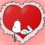 150x150 16871 784cad0a178c0795