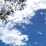 150x150 221868 9358bb1ef44c6e56