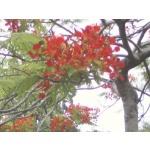 150x150 237800 71b2cb046337e6a6
