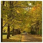 150x150 287263 2ab4d07005e1ba90