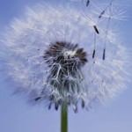 150x150 317253 b08d514756613700