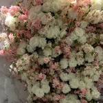 150x150 517622 f6cfb2d140c0e050