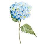 150x150 539286 f50f05a3c7e67f96